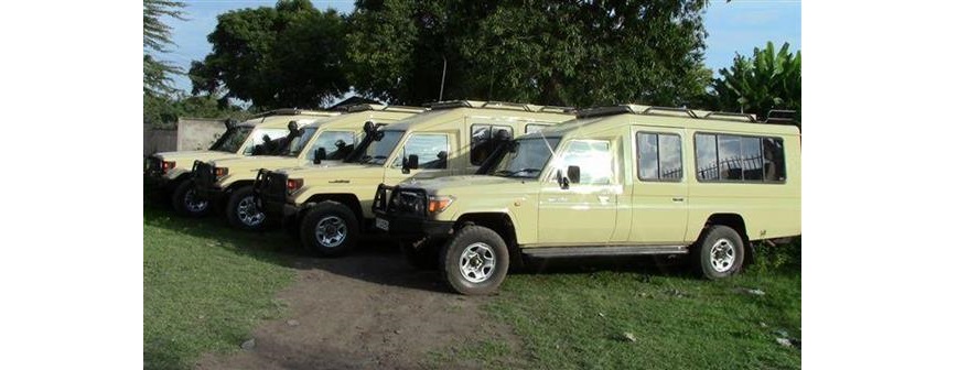 LuxeSafari Tanzania Cars